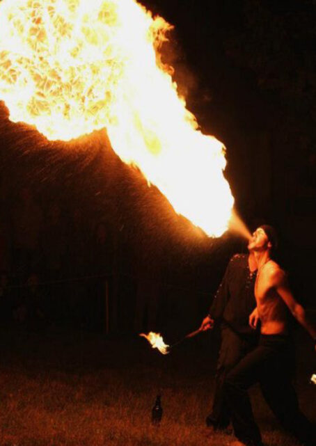 Artistes de Cirque