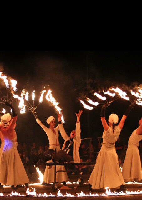 Artistes de Cirque